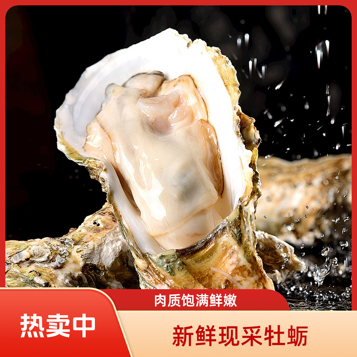 【巨无霸生蚝】5-6两十斤装生蚝牡蛎海蛎子鲜活生蚝【正宗乳山生蚝】