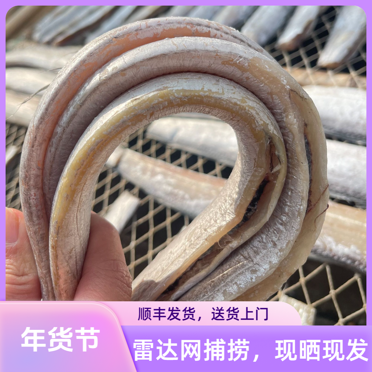 【大号】风带鱼超值厚风带鱼干舟山东海风带鱼咸带鱼送人送礼宴请