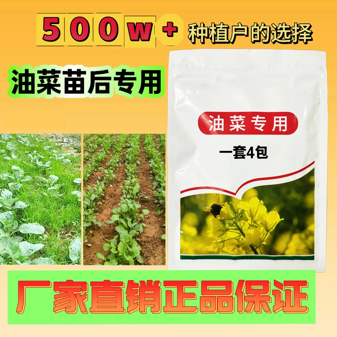油菜苗后专用多数农户选择复合肥