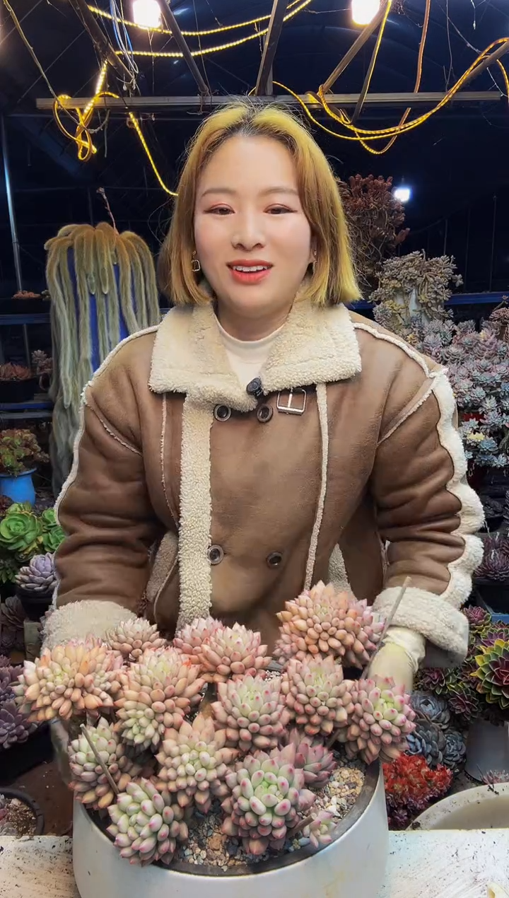 懒****2岩字一物一拍带盆懒虫姐