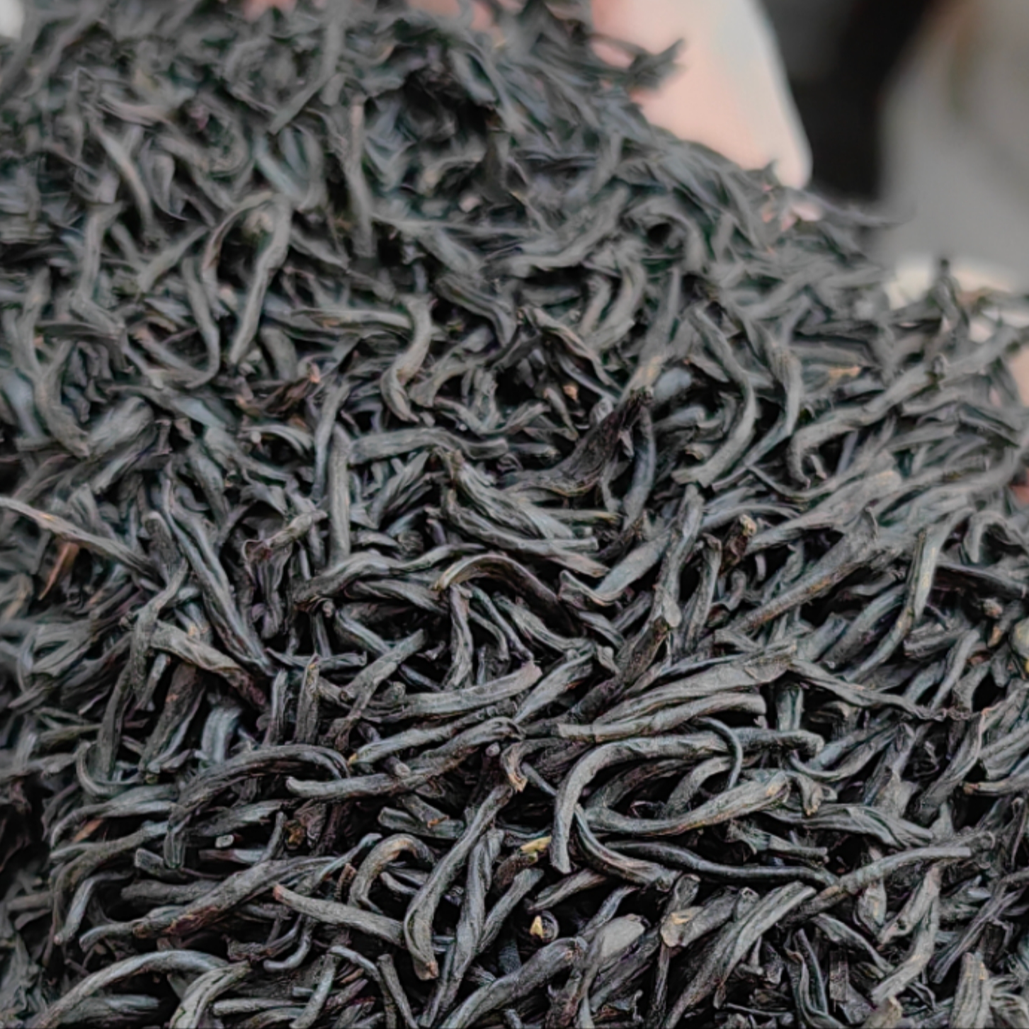 正山小种红茶半斤装（250g）