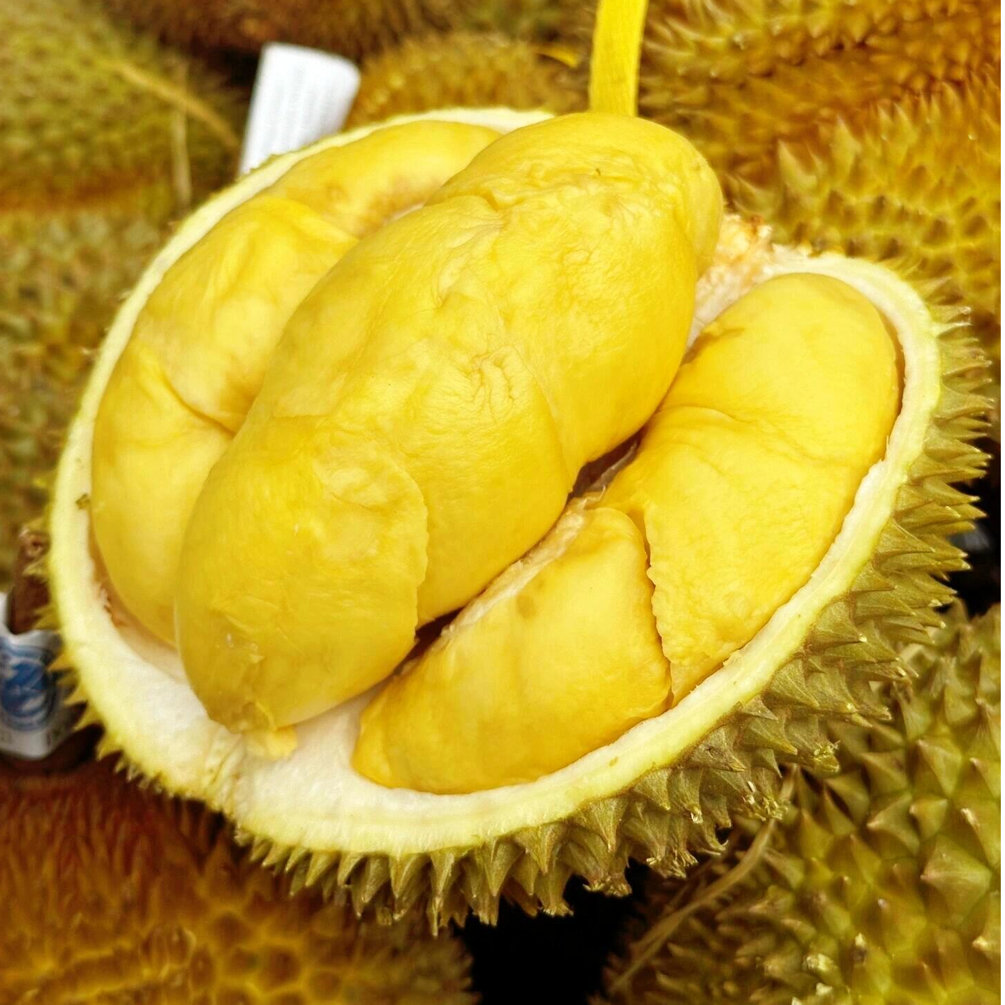 金枕整果一物一拍【西安同城】新鲜金枕核小肉厚1-10kg榴莲同城送榴莲同城配【高新店专属】金枕泰国