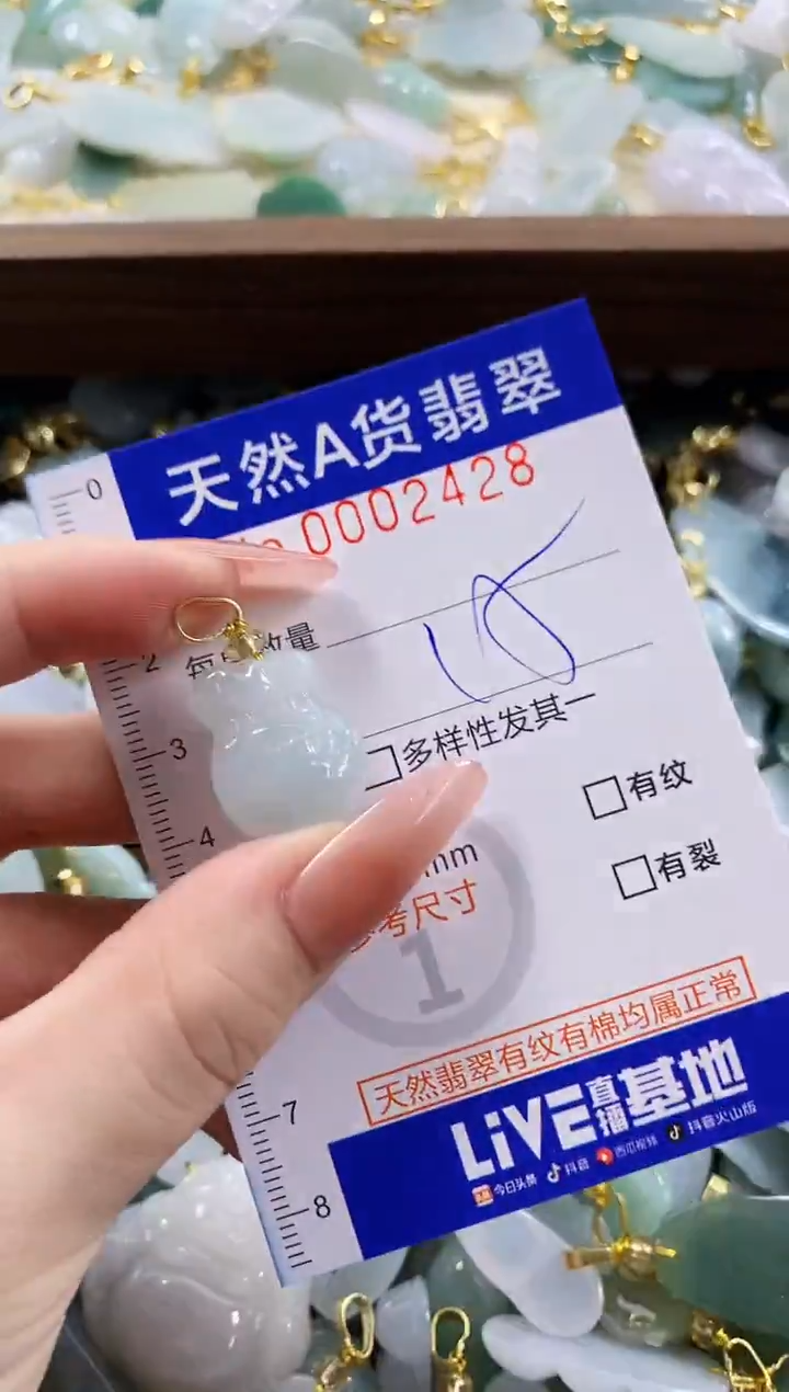 颈饰未镶嵌翡翠天然A货翡翠