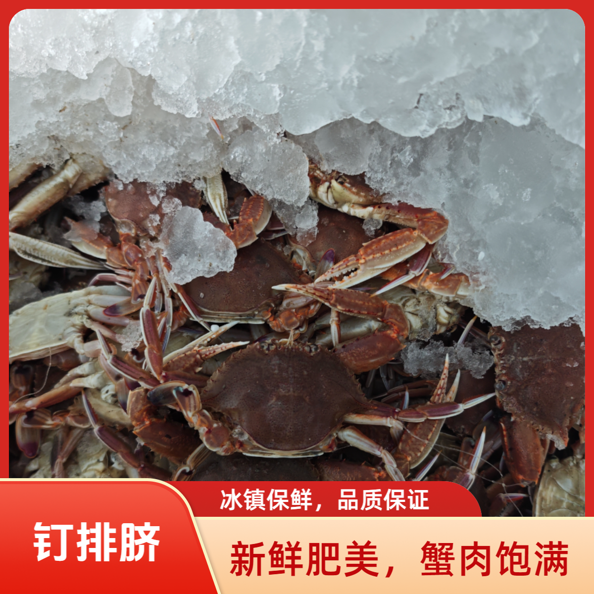 【钉徘脐套餐】惠来本港杂鱼套餐原产地顺丰冷链包邮送礼佳品