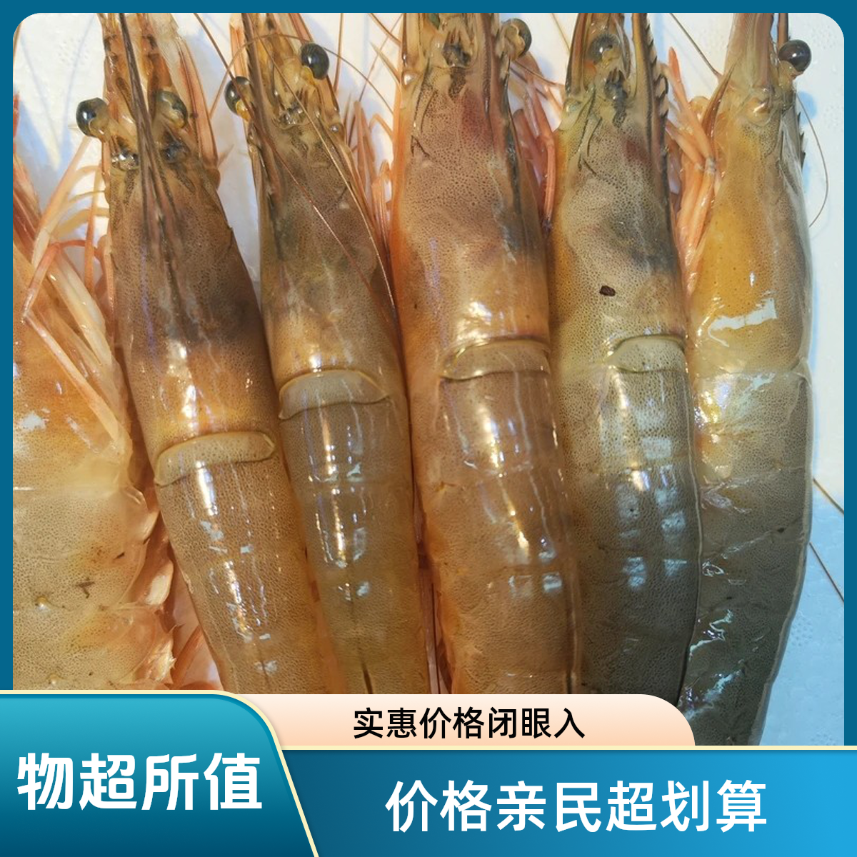 高品质野生海捕大虾顺丰现场秤重为准冷链发货