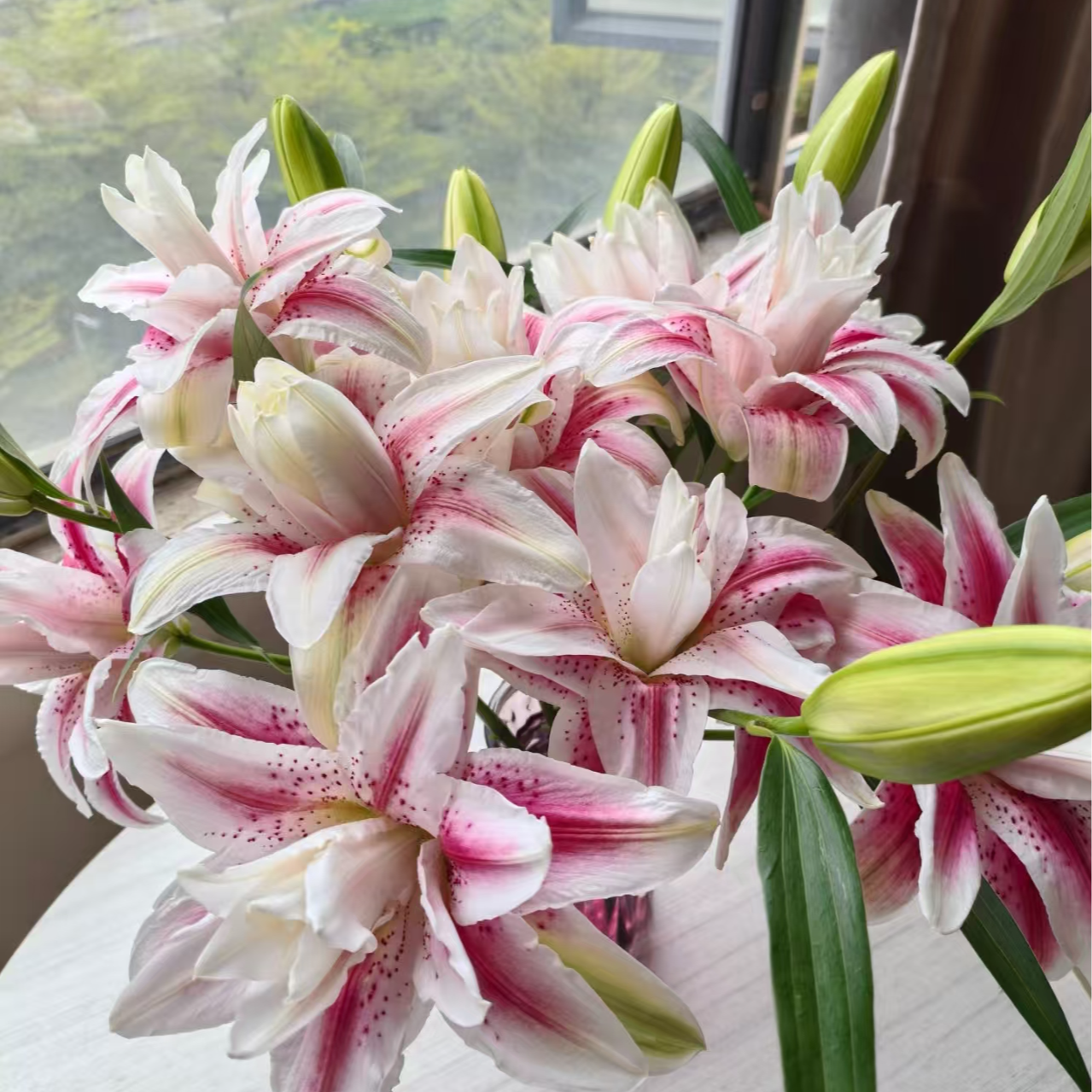 种业50号重瓣百合鲜花--云南基地直发