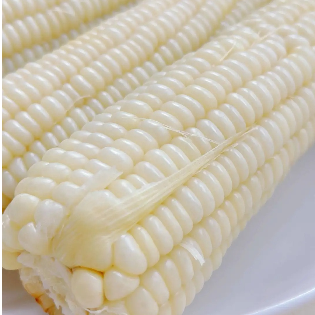 东北农科燕窝血糯玉米香甜软糯新鲜美味小兔子8支装