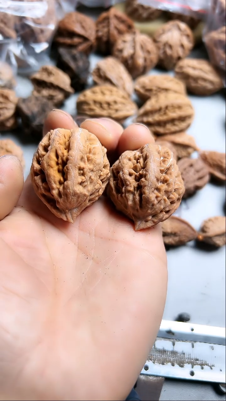 核桃东北野生大秋子3