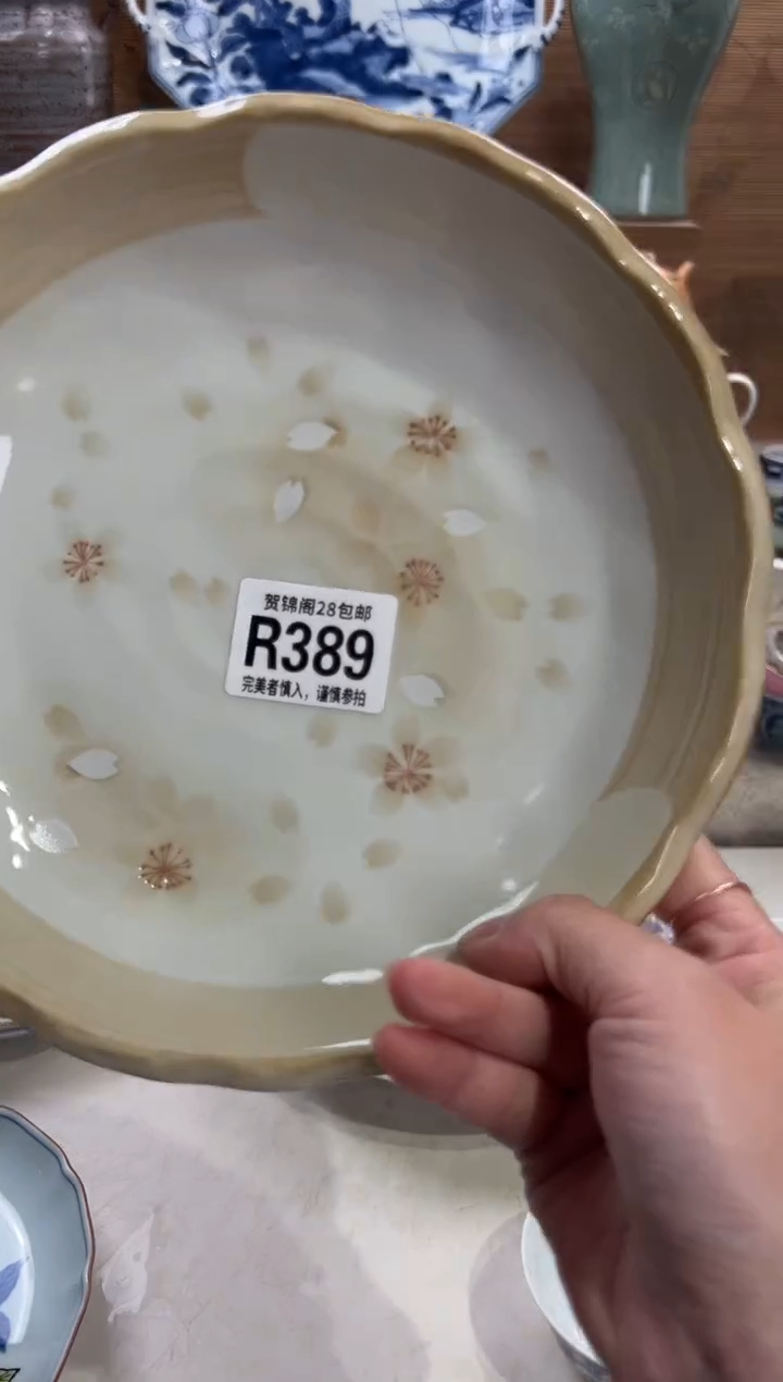 瓷片宋*      R389