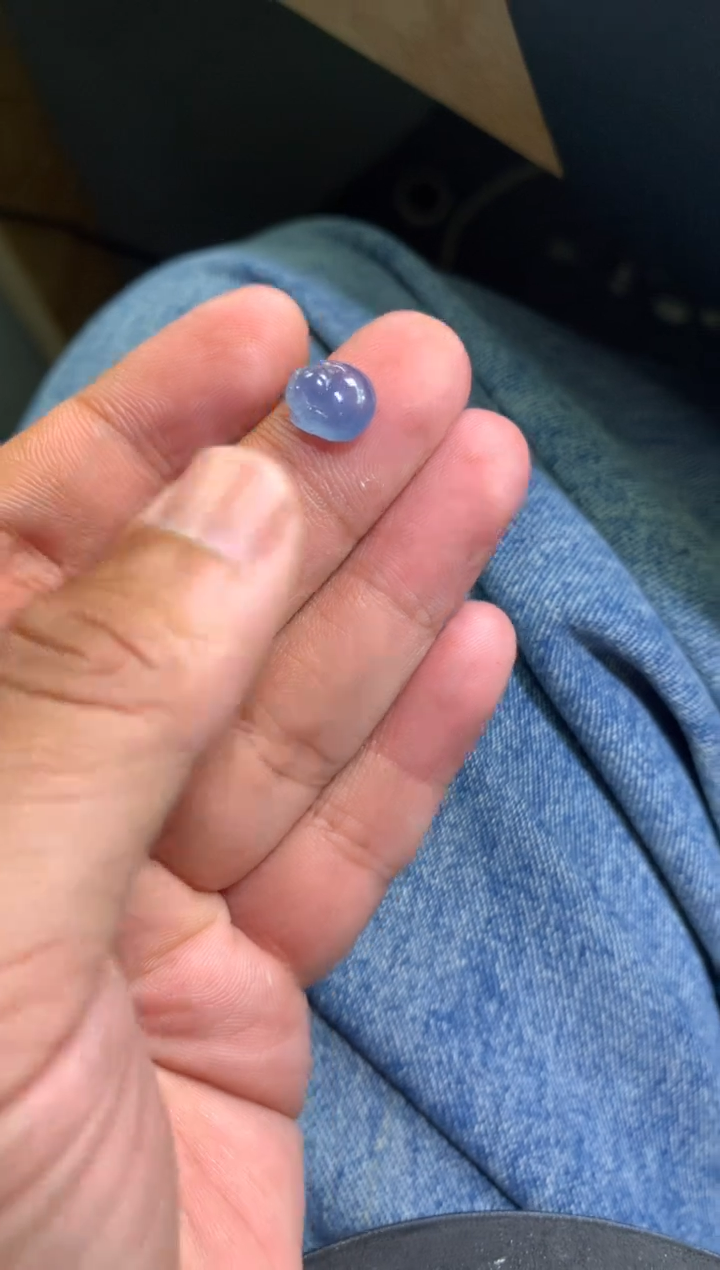 【闪购商品】翡翠颈饰未镶嵌紫金蝉