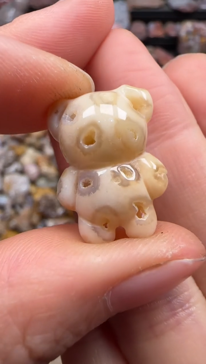 【闪购商品】硅化珊瑚（珊瑚玉）颈饰未镶嵌084