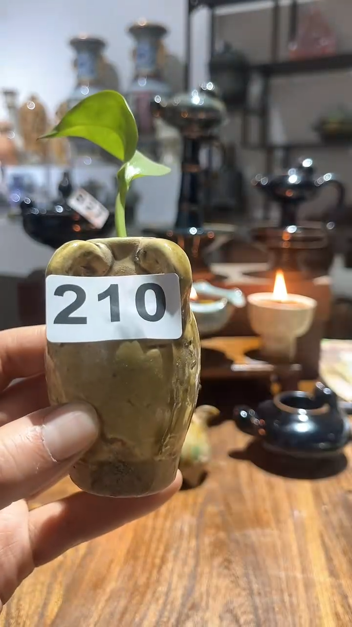 【闪购商品】摆件                 