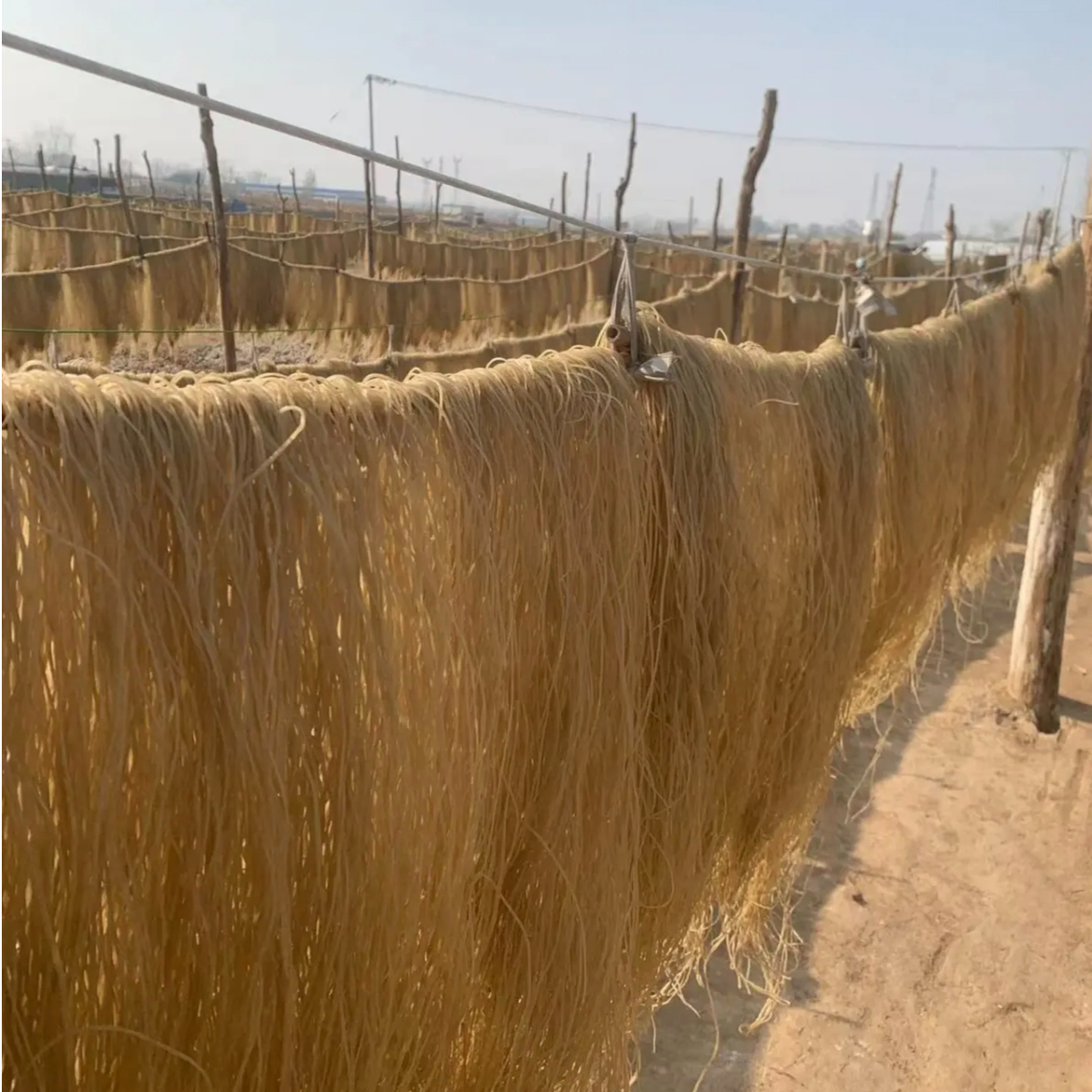 纯红薯粉条山东沂蒙山特产地瓜粉条红苕粉条手工自然晾晒真红薯粉