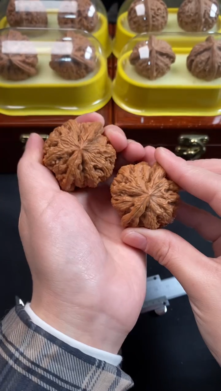 把件文玩核桃大粗筋43尺N717