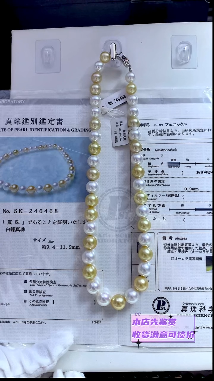 未镶嵌项链海水珍珠白蝶凤凰9.4-11.9mm