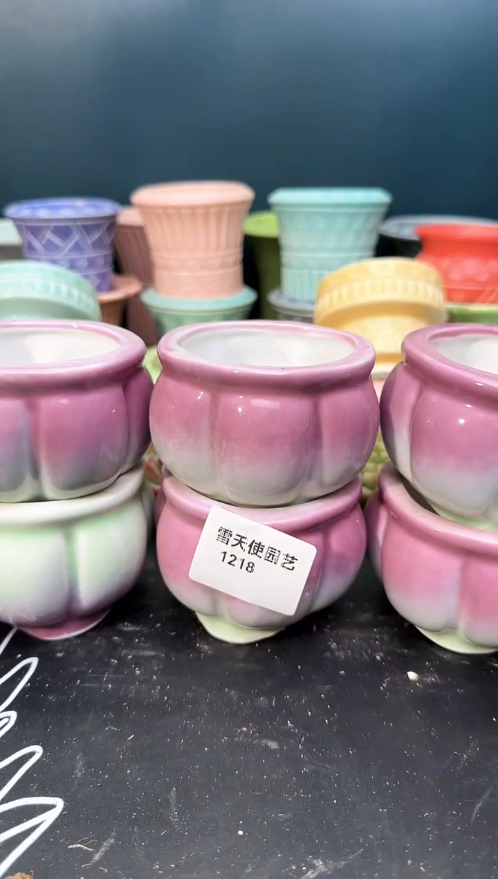 12 18 小南瓜盆 5 个默认微瑕