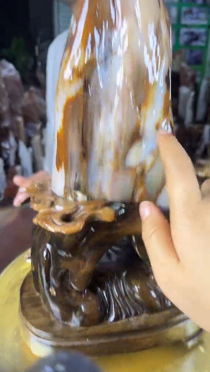 未镶嵌珠宝奇石硅化玉缅甸天然树化玉摆件