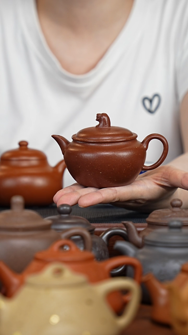 茶壶紫砂老降坡悟