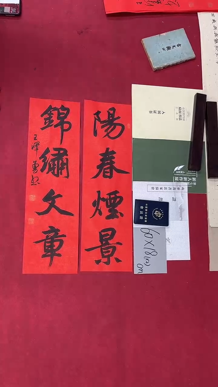 书法王泽勇老师书法作品018