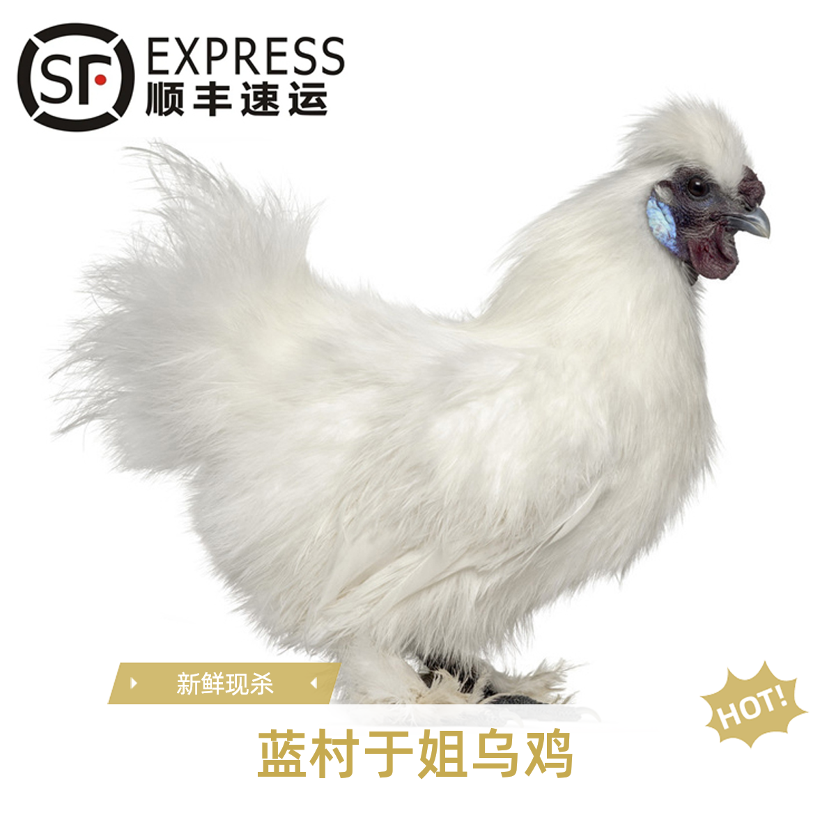 蓝村于姐正宗农家营养生态散养乌鸡   【顺丰包邮】
