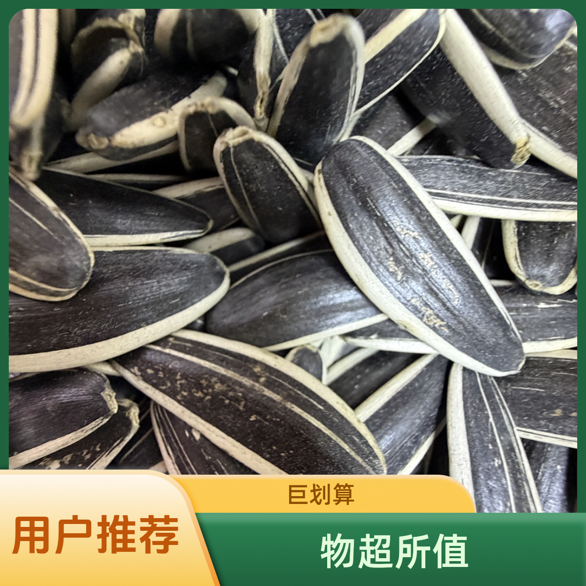 内蒙金刀2025年新生瓜子