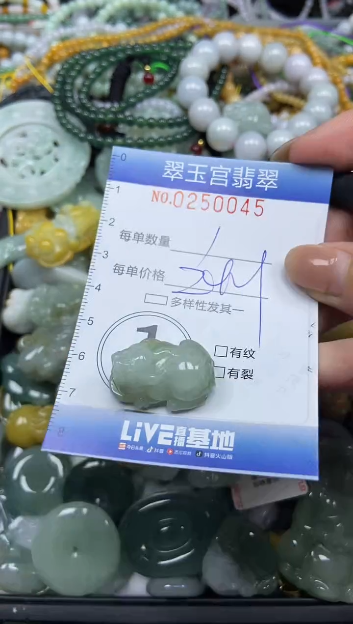 颈饰未镶嵌翡翠闪购C0250045