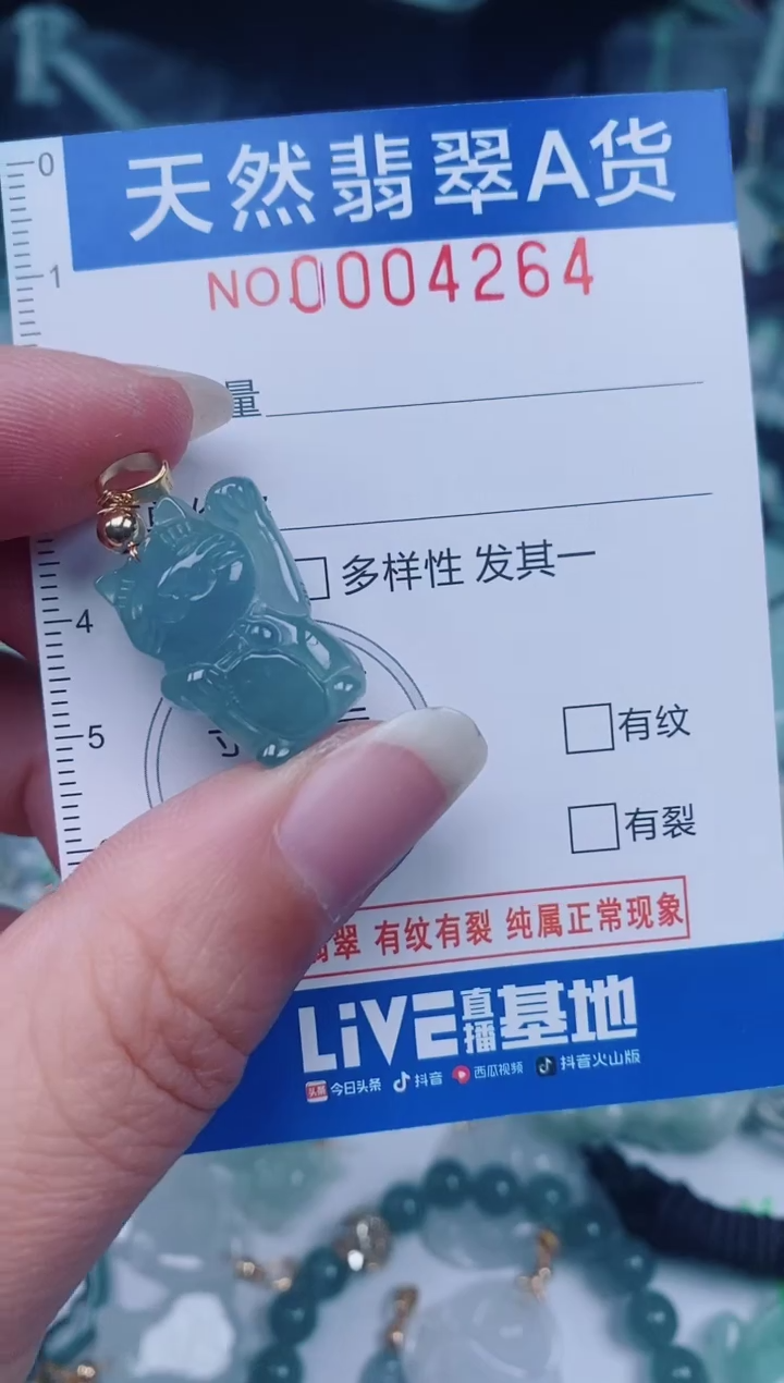 颈饰未镶嵌翡翠00004264