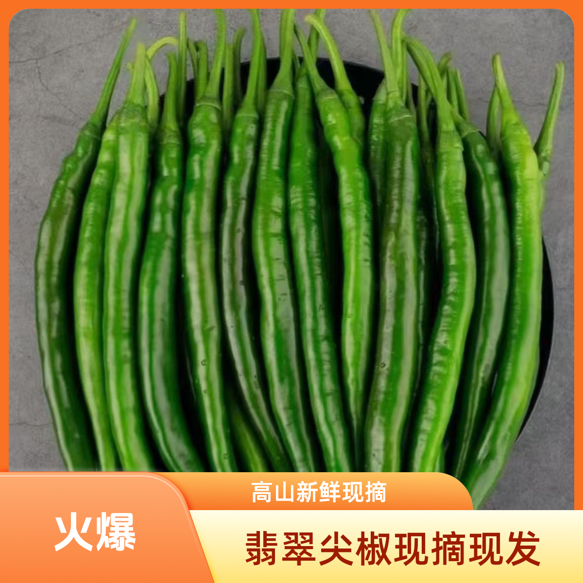 恩施富硒高山新鲜现摘中辣薄皮当季正宗翡翠尖椒