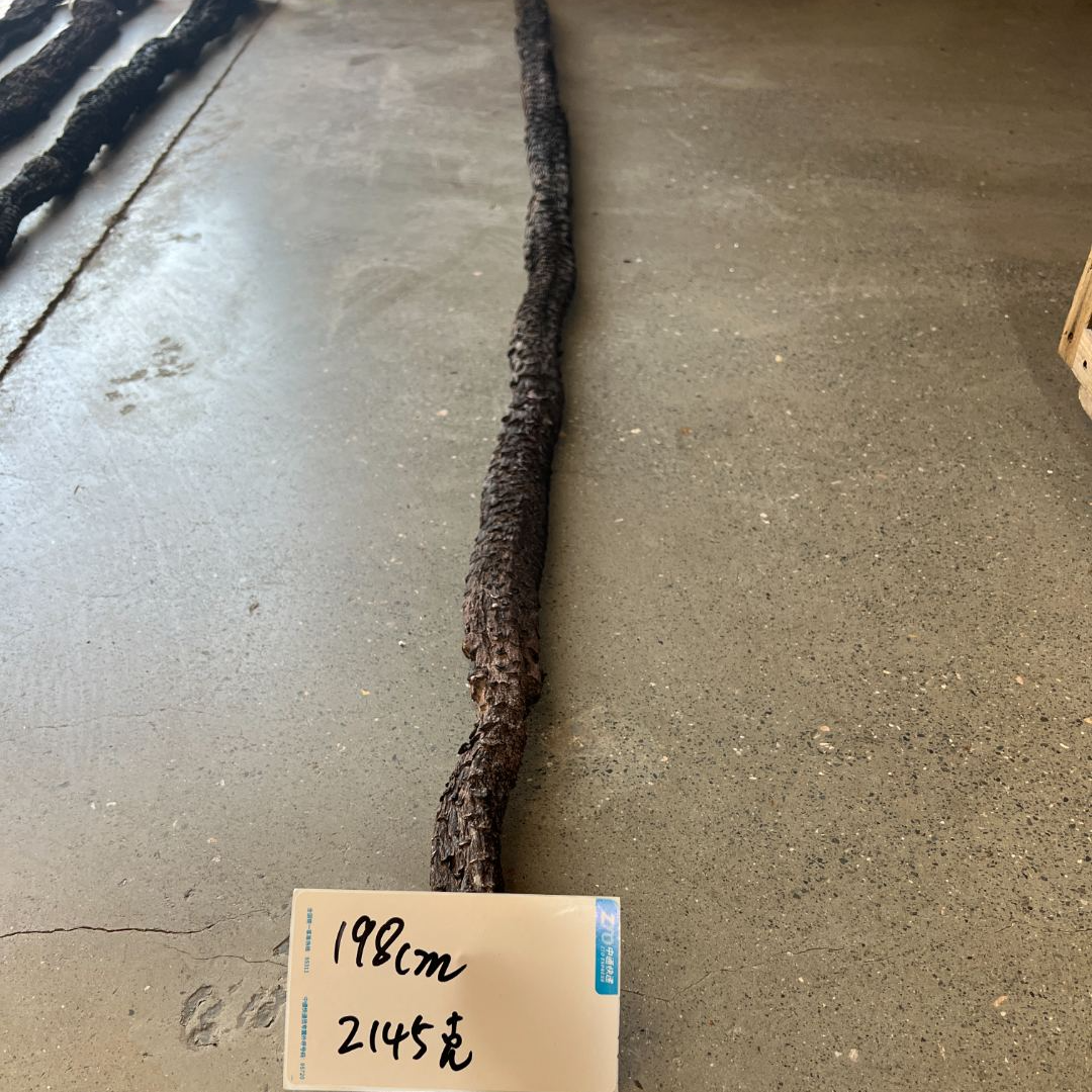 蒙漠原【仅此一根】荒漠【苁蓉】代茶饮