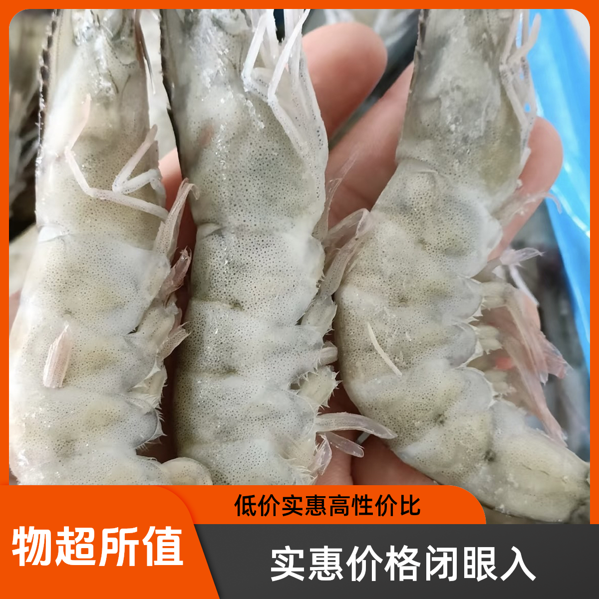 海捕盐田大虾一件约2.5斤不含冰冷冻海鲜虾海鲜水产