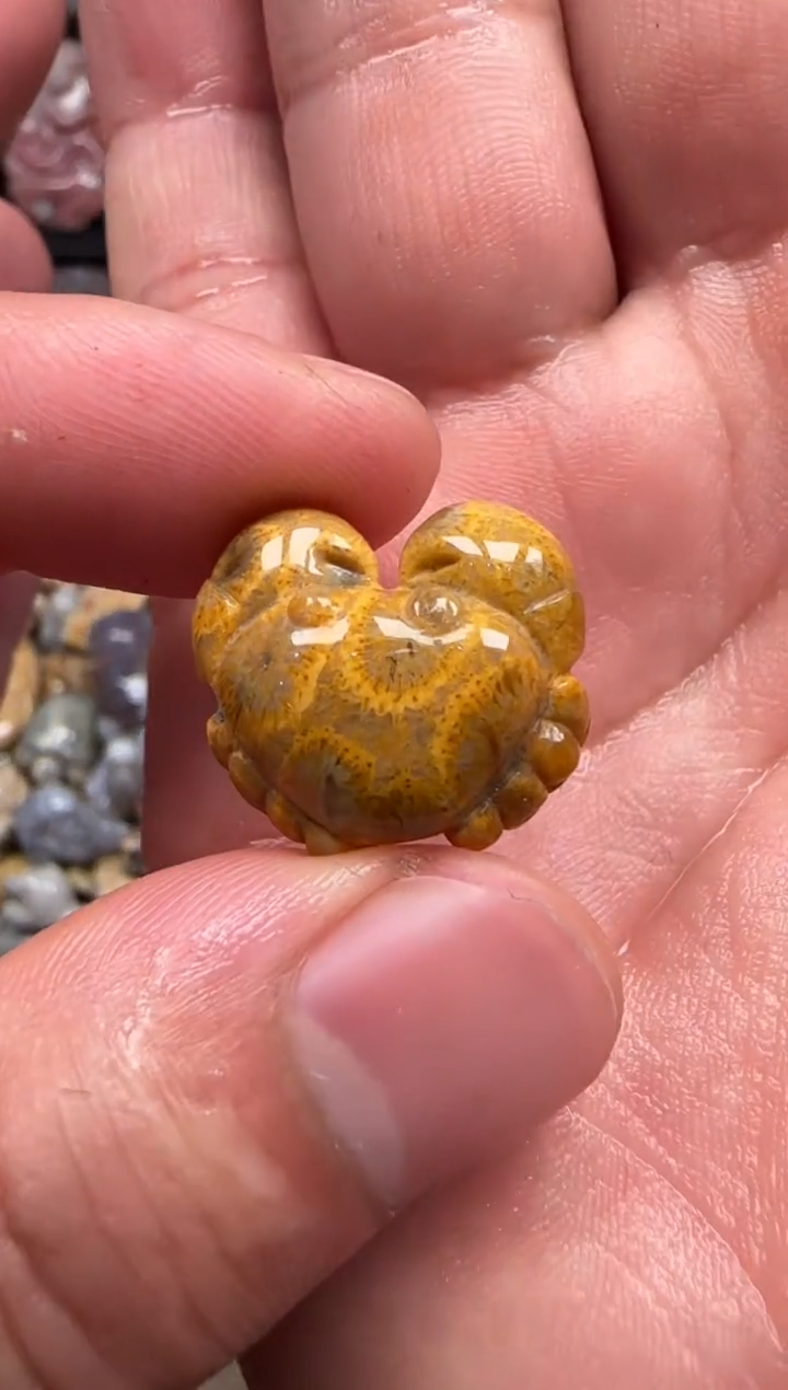 【闪购商品】硅化珊瑚（珊瑚玉）颈饰未镶嵌221