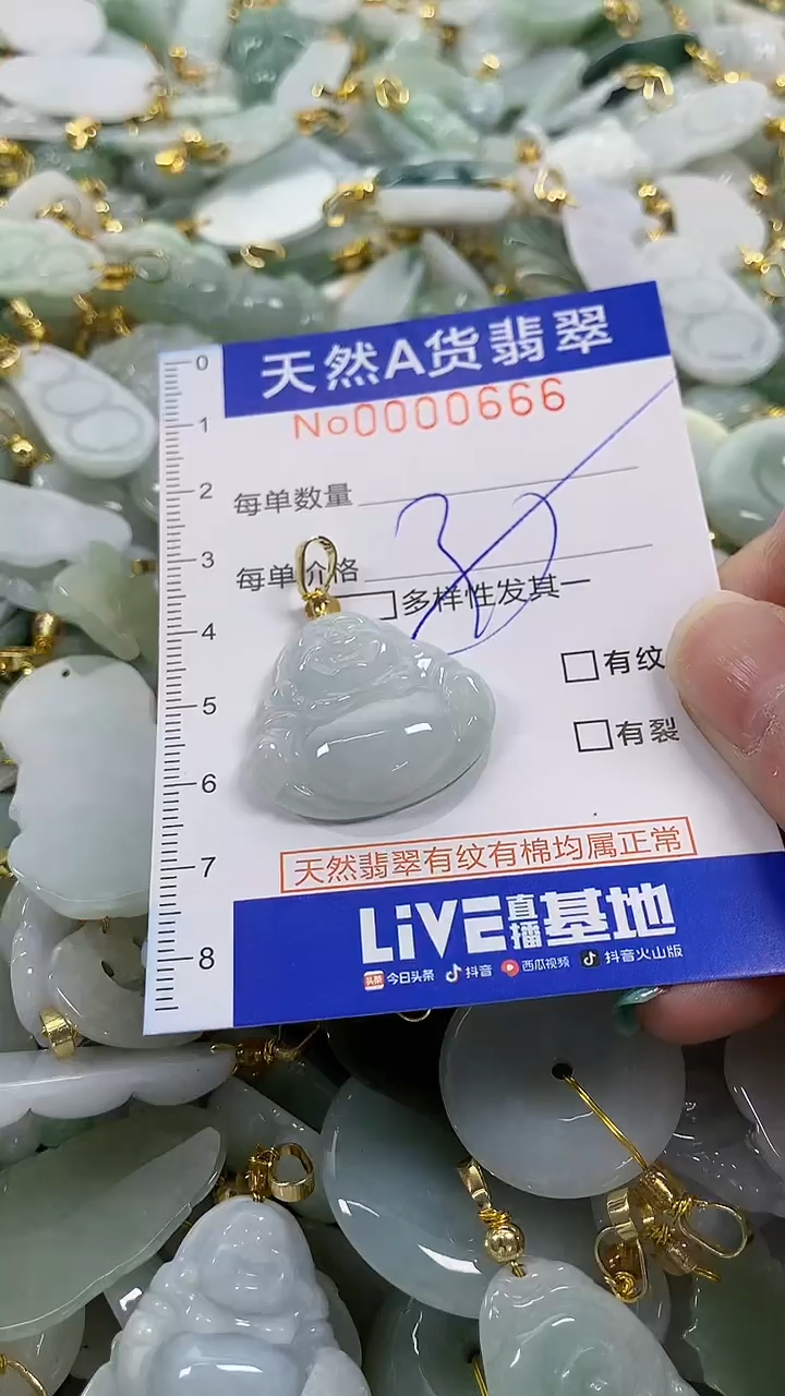 颈饰未镶嵌翡翠纯天然a货翡翠