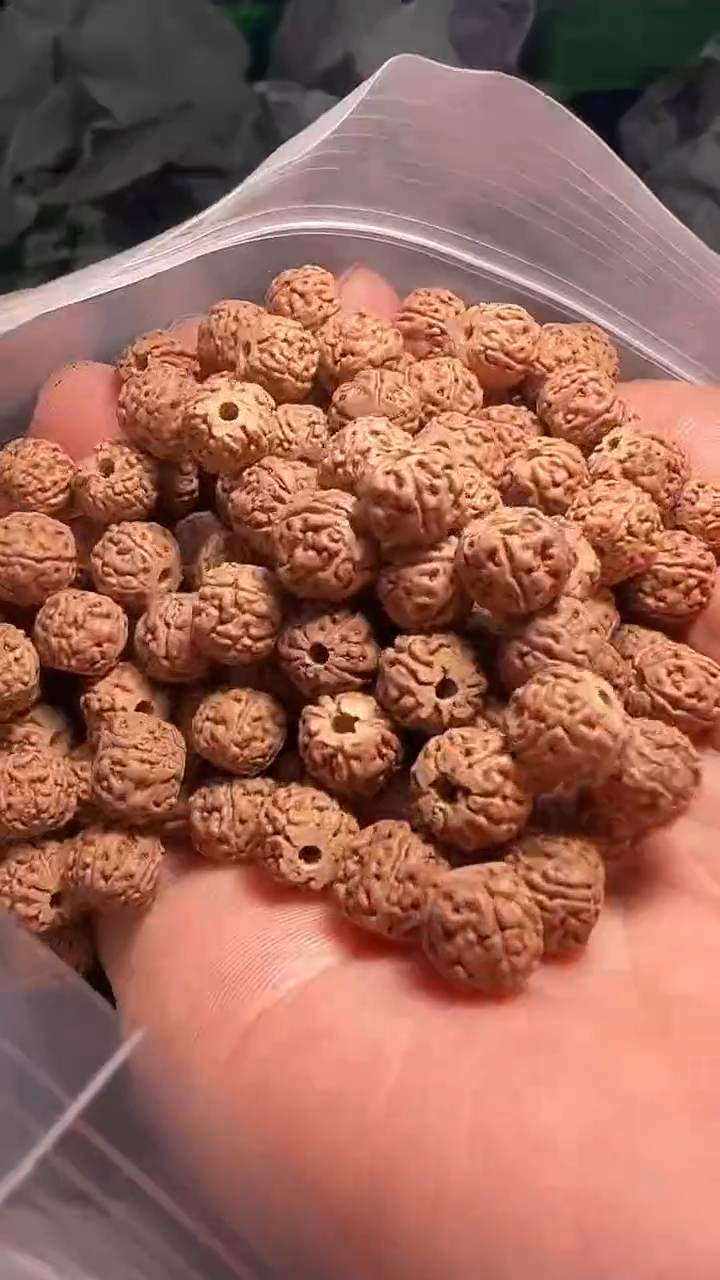 金刚菩提手串非全品龙切一代龙散籽8-9mm一份一百颗+