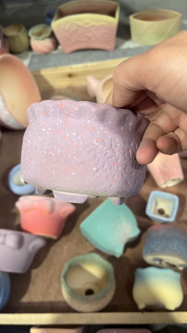 【闪购商品】红陶111