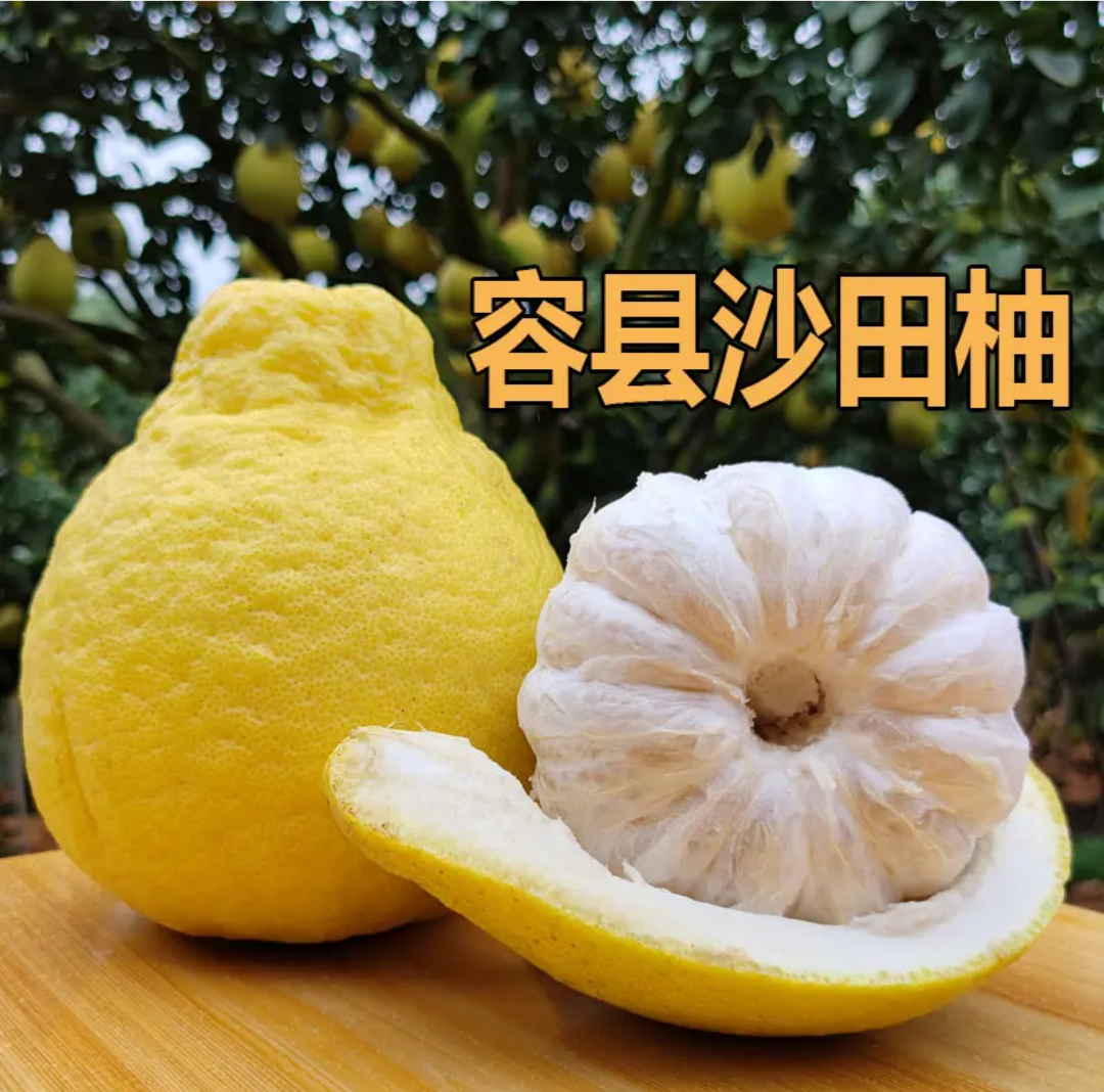 广西容县沙田柚特产柚子纯甜无酸箱装9斤14斤18斤两广包邮