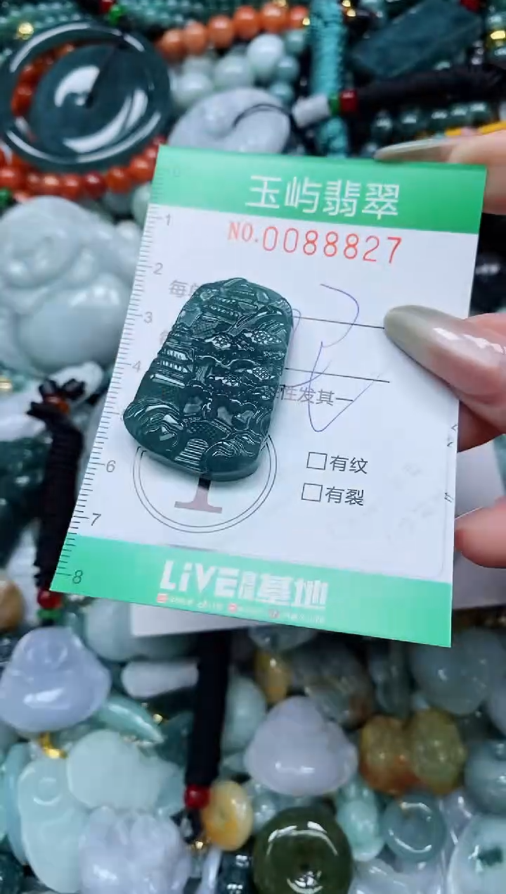 【闪购商品】翡翠颈饰未镶嵌闪购0088827