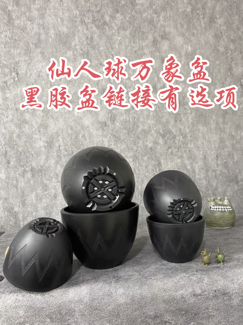 仙人球块根植物花盆，百搭透气加厚植物盆