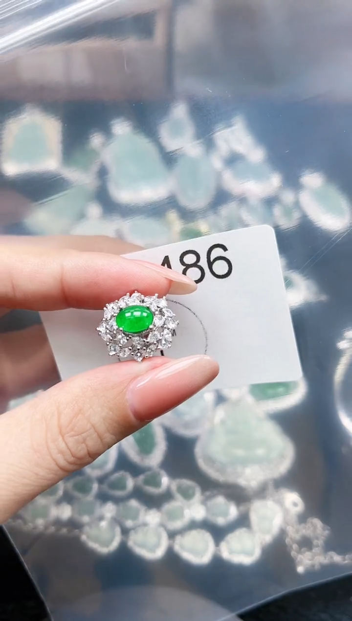 【闪购商品】翡翠颈饰未镶嵌赠皮绳486