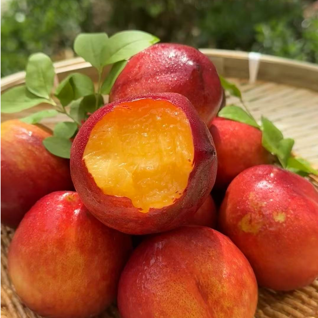 《果虎》蜂蜜油桃桃味浓郁香甜多汁顺丰包邮g当季新鲜水果桃子辽宁省