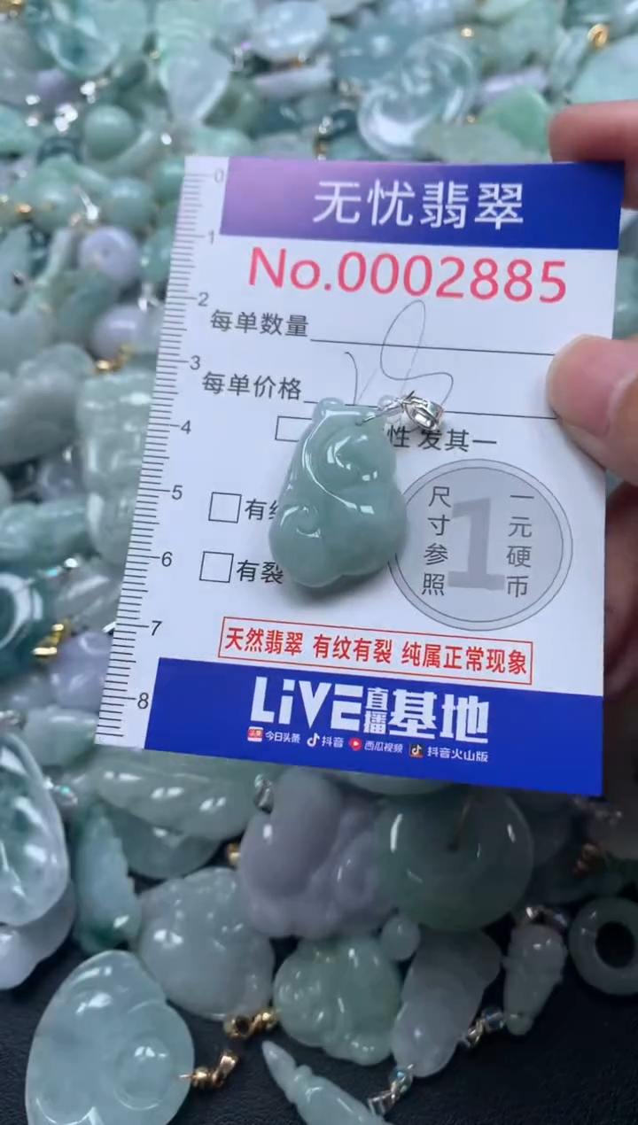 颈饰未镶嵌翡翠2885