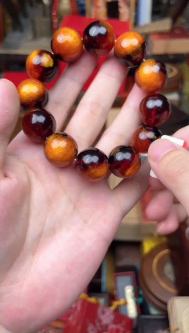 木---------------海柳2.0