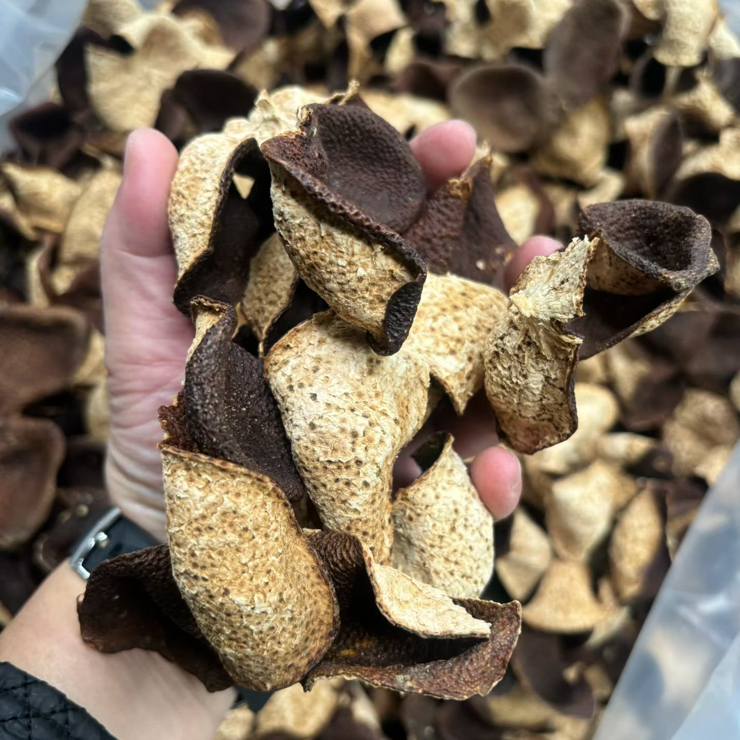 【日常口粮，断皮】2014年东甲大红断皮 日常口粮款