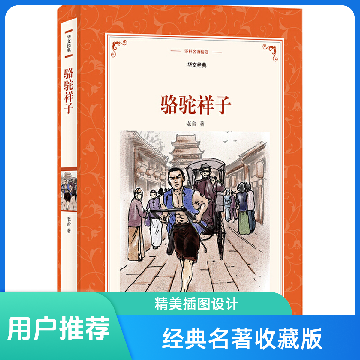 骆驼祥子/译林名著精选 初中语文七年级上