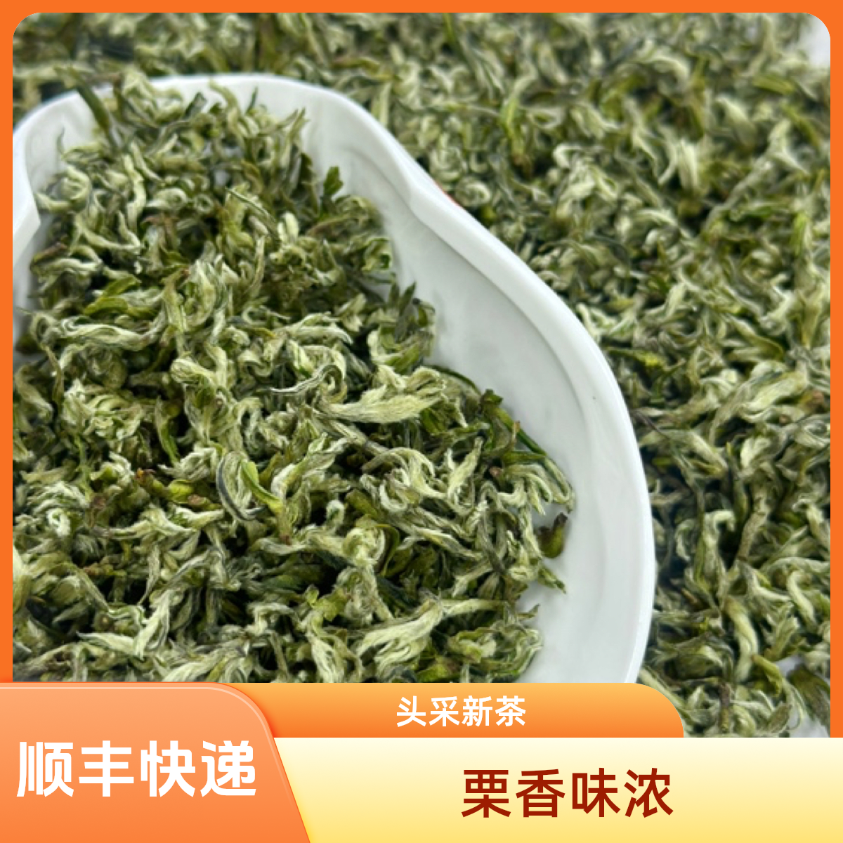 2025年新茶渝雅蒙山顶甘露明前茶头采芽绿茶嫩芽渝雅茶业茶叶