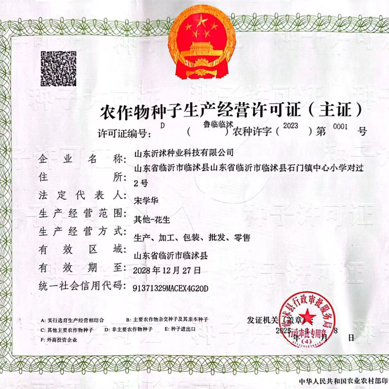 红皮【一代种】【海花1号】抗旱 耐劳 花生种子