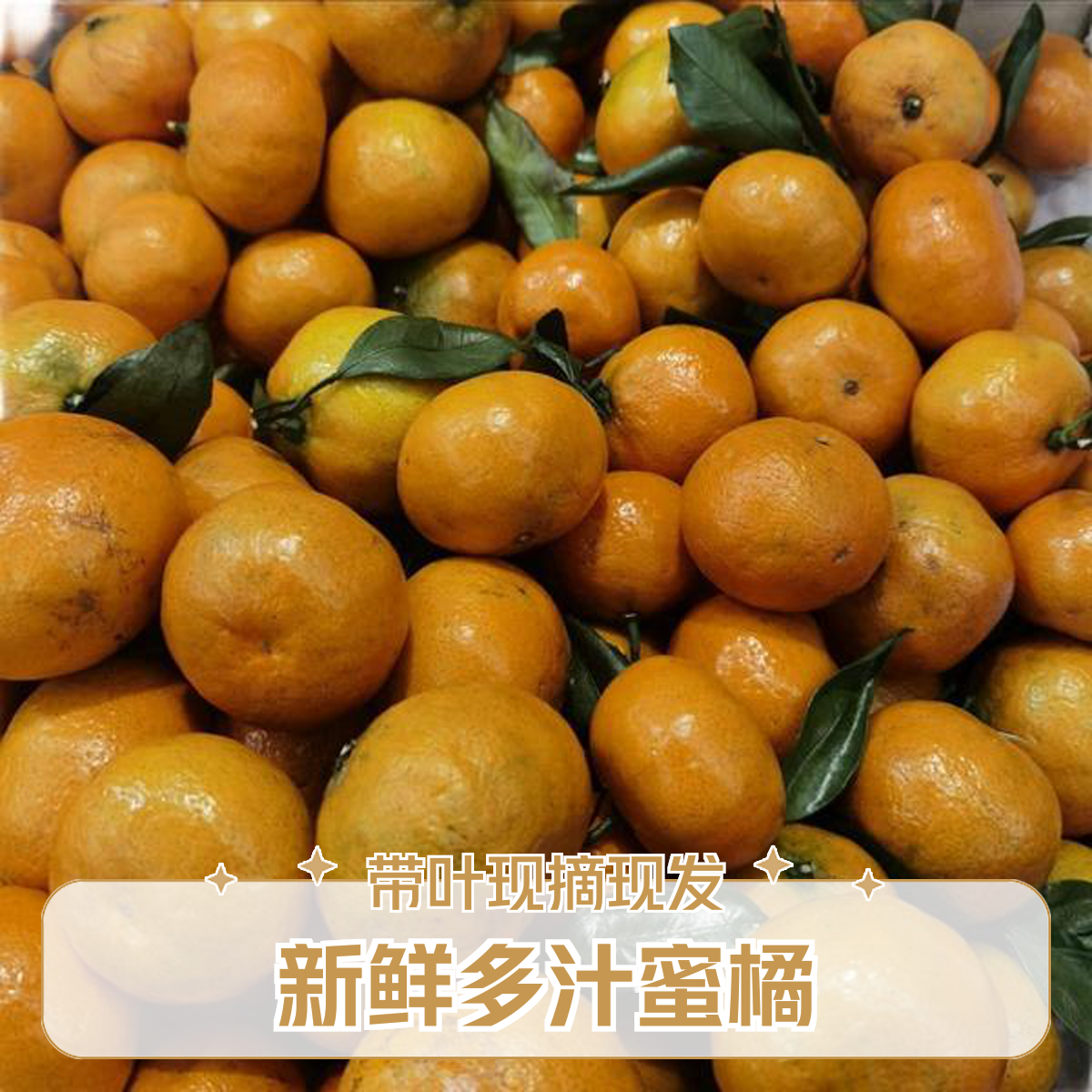 【悦果先生】八叶桔到货啦（三斤）同城送，小时达