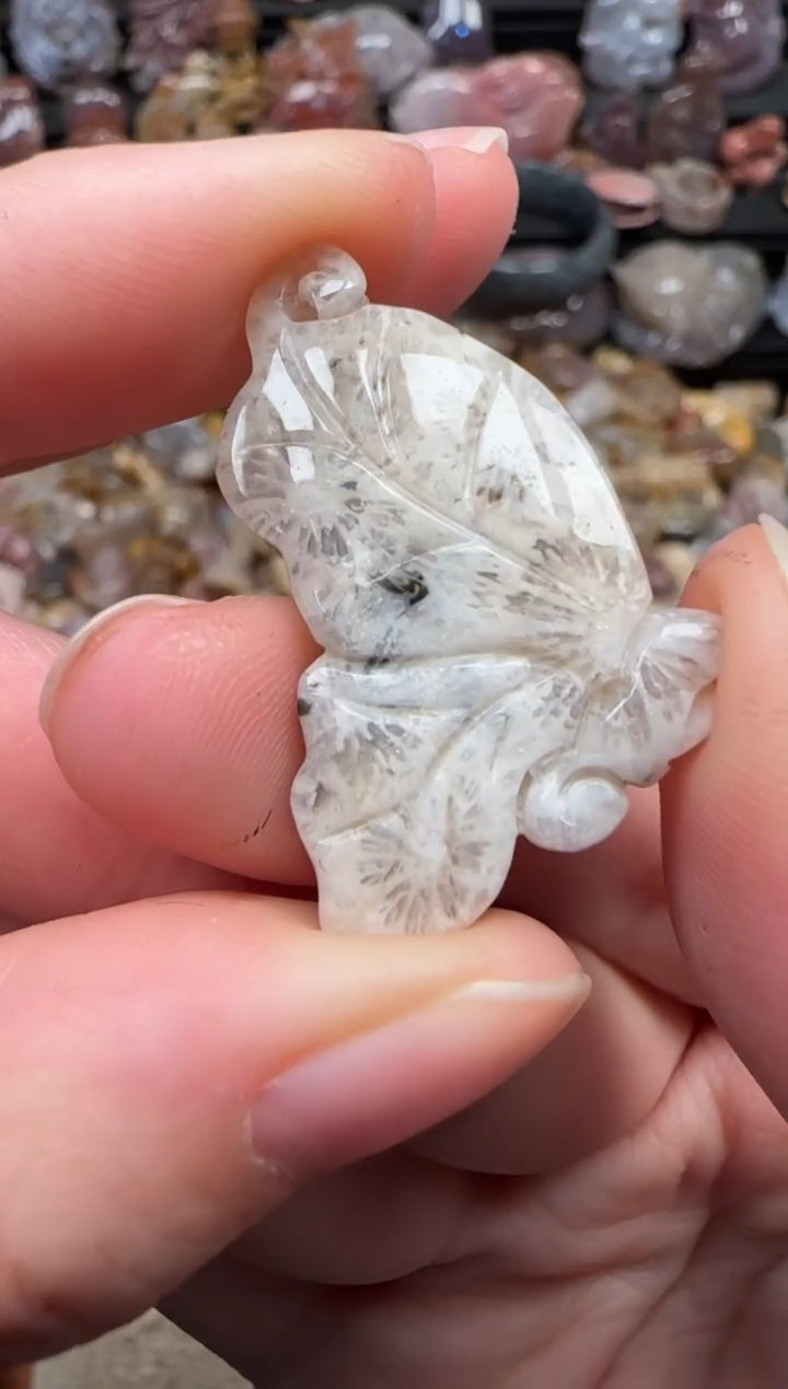 颈饰未镶嵌硅化珊瑚（珊瑚玉）264