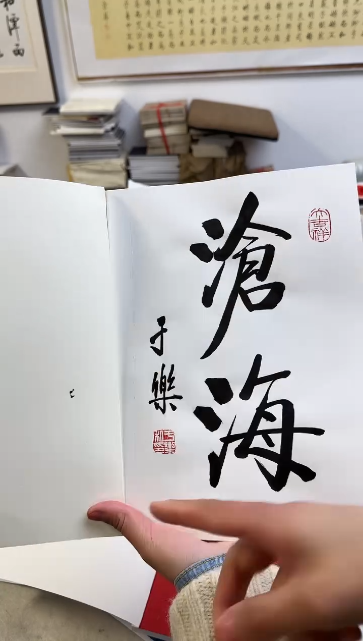 【闪购商品】国画天津人美-YL-书法