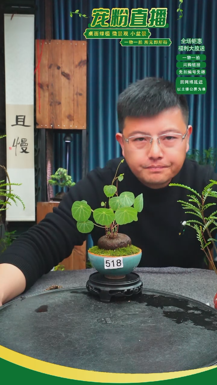 无花朵依*夏苔藓微景观518号