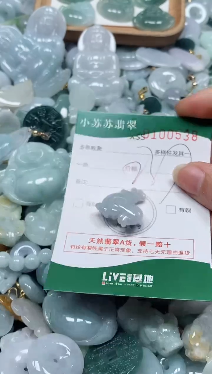 【闪购商品】翡翠颈饰未镶嵌闪购商品0100538